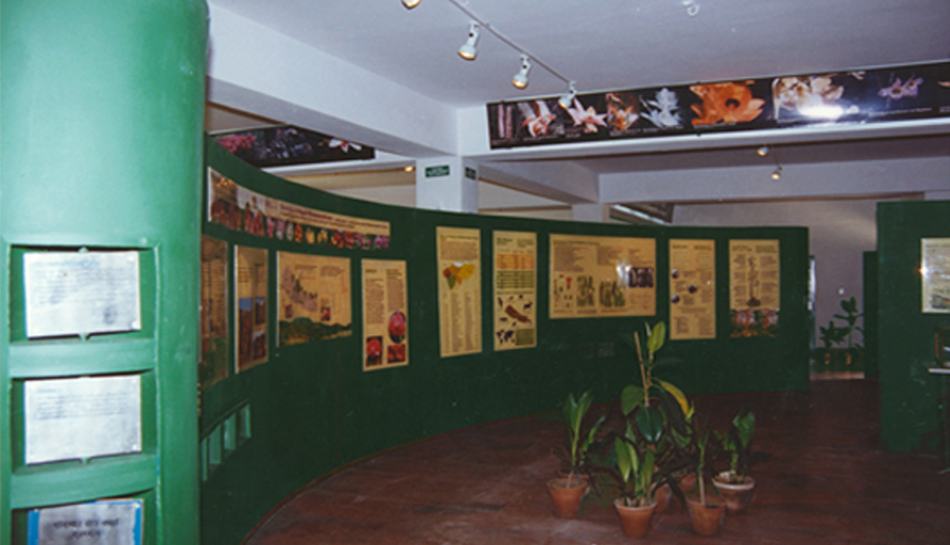 Exhibition Display 3